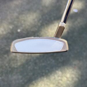 Polymer Insert